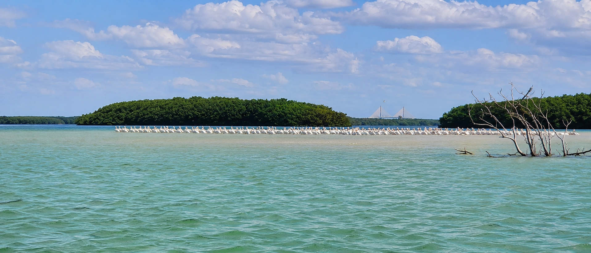 Shell Key Preserve and Egmont Key barrier islands near St. Petersburg accessible only by boat
