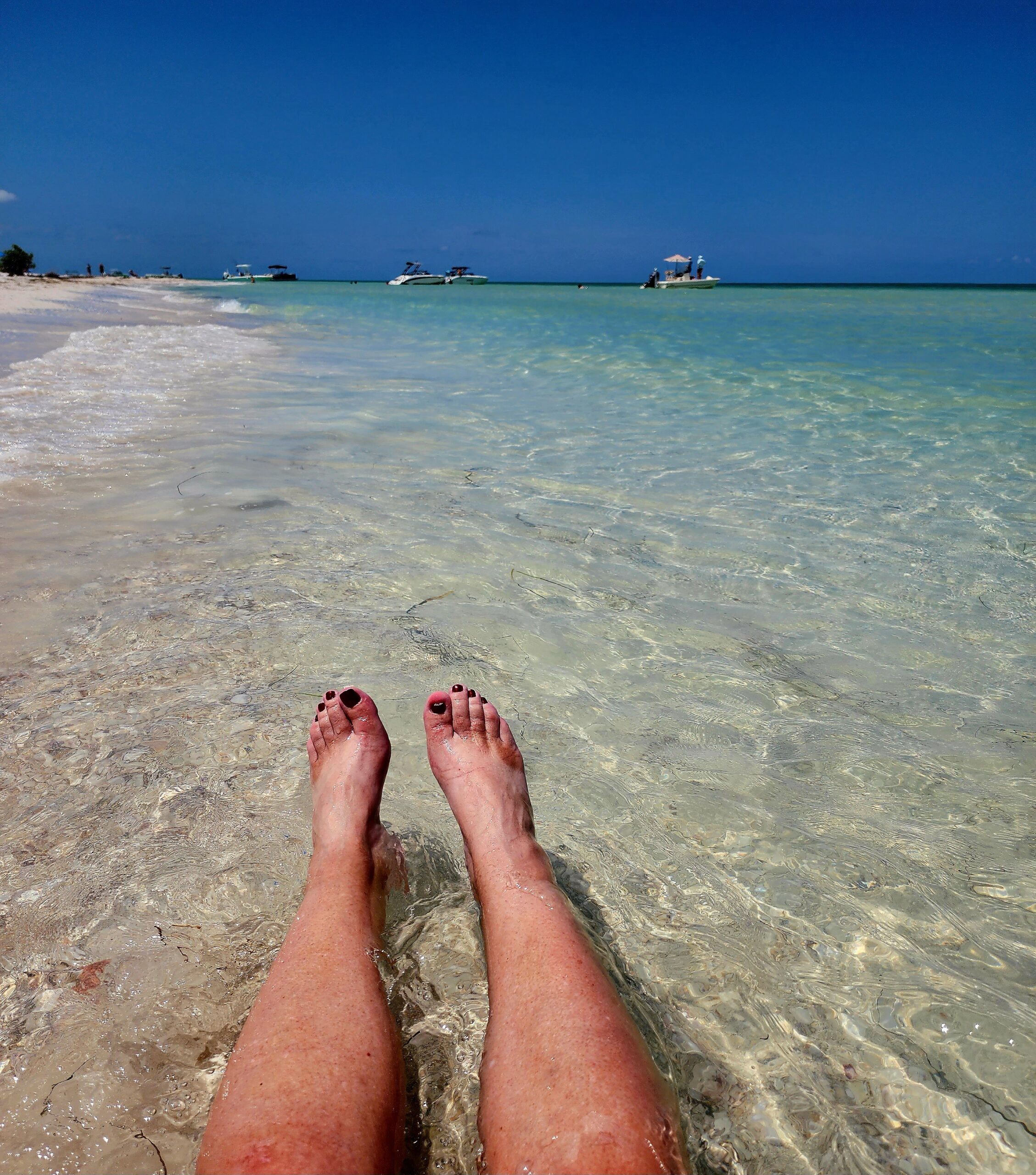 Caladesi Island pristine beach accessible by private boat charter from Clearwater