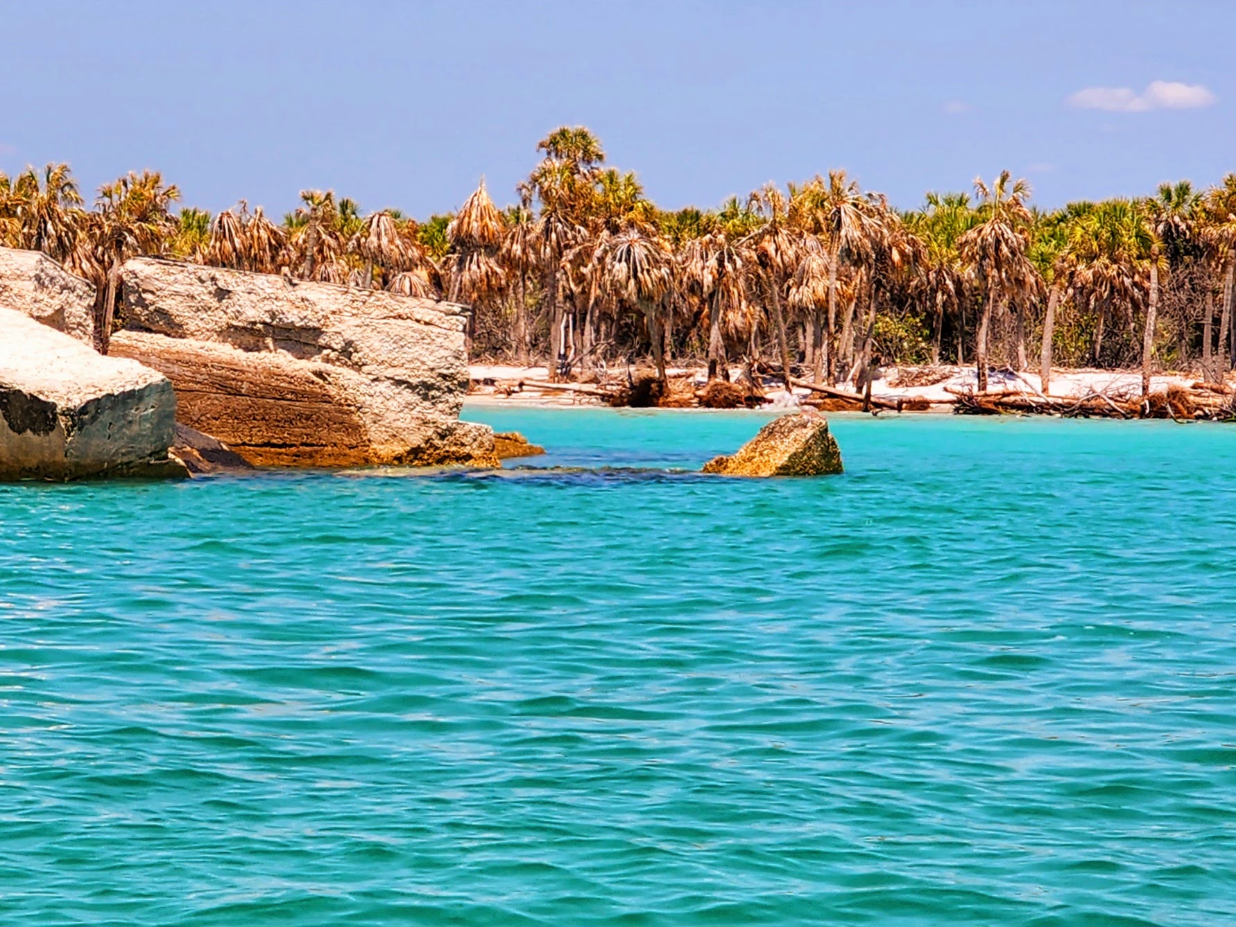 Snorkeling location at Egmont Key in the Gulf of Mexico near St. Petersburg, Florida