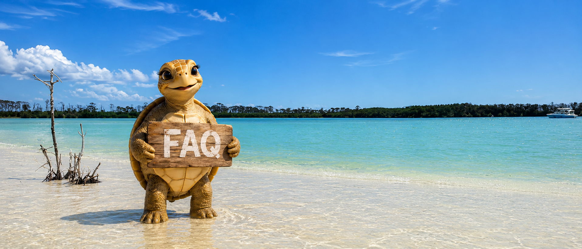 Tessa the sea turtle mascot holding an FAQ sign at a Gulf Coast sandbar near Clearwater — Wayward Key Tours frequently asked questions