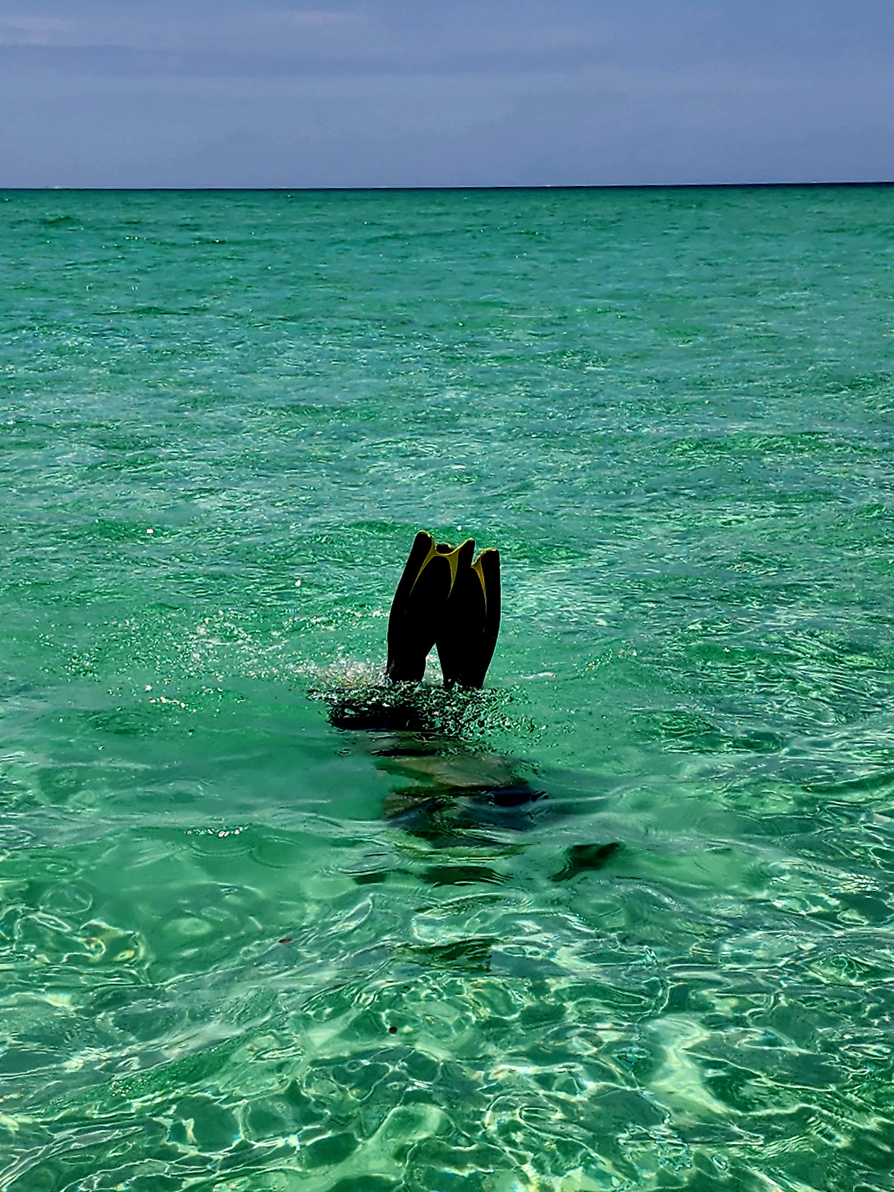 Guests snorkeling with fins up in clear shallow Gulf water on a private charter near Clearwater, Florida