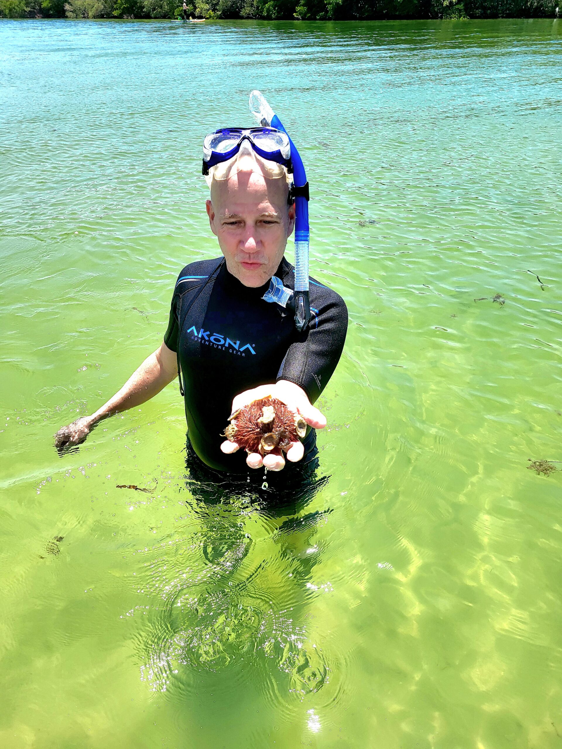 Crustaceans and marine life found on a private snorkeling charter near St. Petersburg, Florida