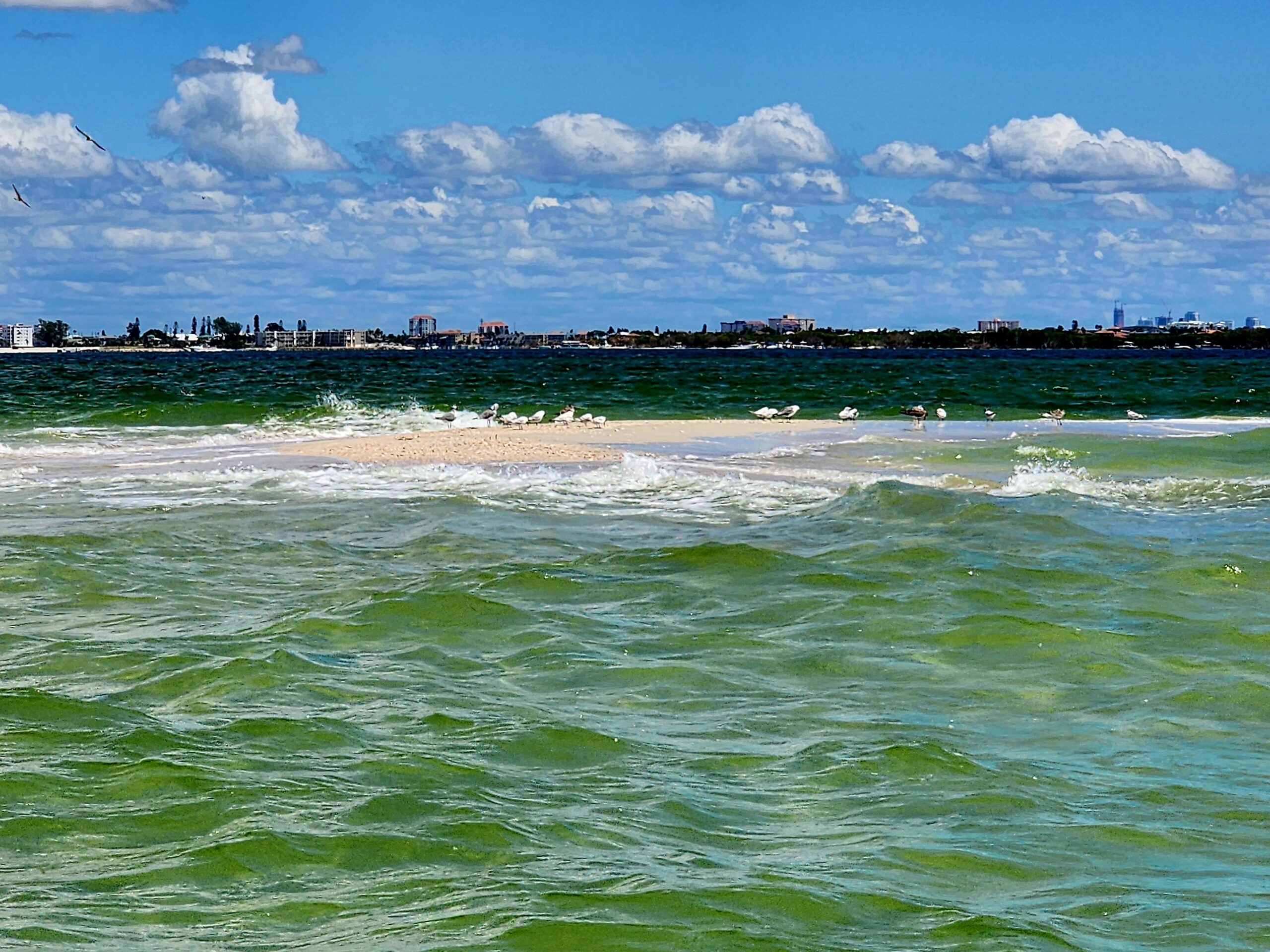 Sand Dollar Key sandbar off Fort De Soto in shallow clear Gulf water near St. Petersburg, Florida